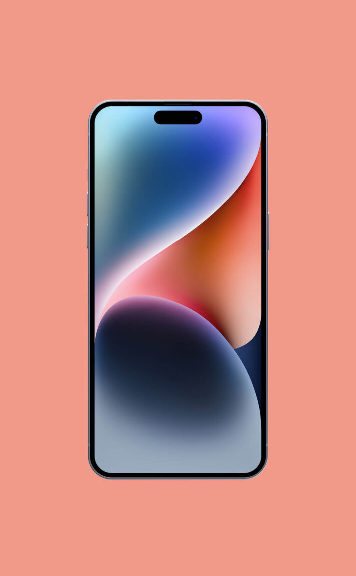 portfolio4