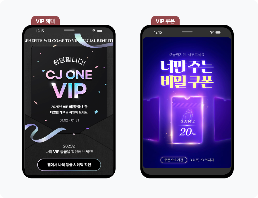 VIP 전용 세일 예시