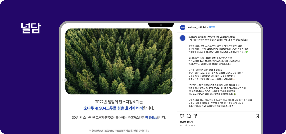 알파리뷰 마케터의 인스타그램 광고 레퍼런스.zip 17 인스타그램 광고 레퍼런스, 인스타그램 마케팅, 인스타그램 전략, 인스타그램 레퍼런스, 알파리뷰, 카페24, 샐러드랩