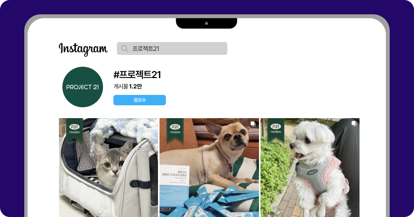 알파리뷰 마케터의 인스타그램 광고 레퍼런스.zip 20 인스타그램 광고 레퍼런스, 인스타그램 마케팅, 인스타그램 전략, 인스타그램 레퍼런스, 알파리뷰, 카페24, 샐러드랩